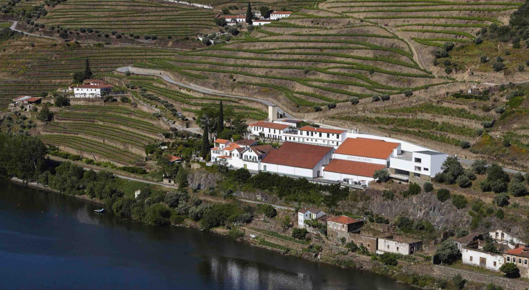 Savor the Splendor: Luxury Hotels in Douro Valley