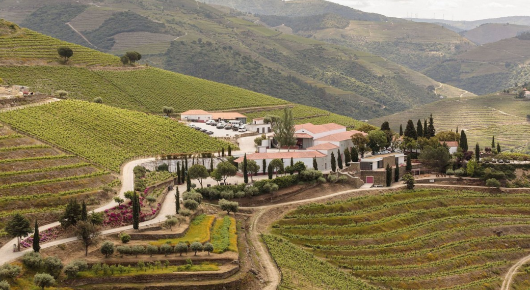 Savor the Splendor: Luxury Hotels in Douro Valley