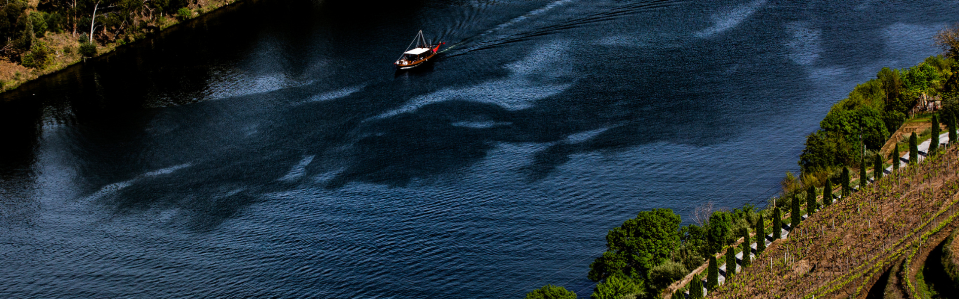 quinta das carvalhas 