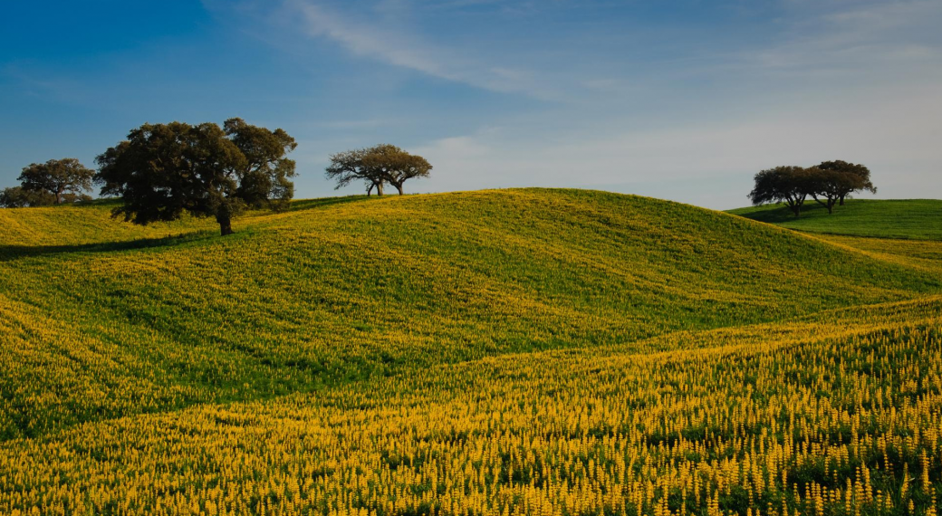 Alentejo