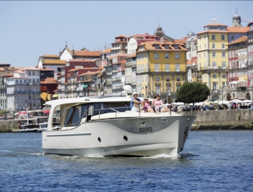 1 Day Luxury Tour in Porto